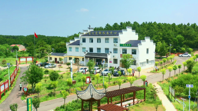 孝昌：“好支书”领航 绘就乡村振兴新画卷