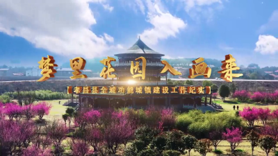 功能城镇和路长制