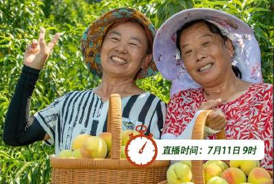 联“县”直播预告丨新农人玩转新果园