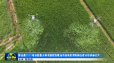 孝昌县2025年水稻重大病虫害统防统治与绿色防控相融合技术培训会召开