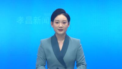 孝昌县2025年水稻重大病虫害统防统治与绿色防控相融合技术培训会召开