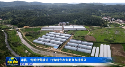 品牌化 差异化 市场化 孝昌创新经营模式打造特色农业 