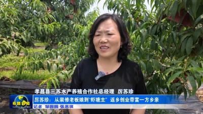 最美新农人丨从“瞎折腾” 到年销千万！她让200亩荒地变身“聚宝盆”