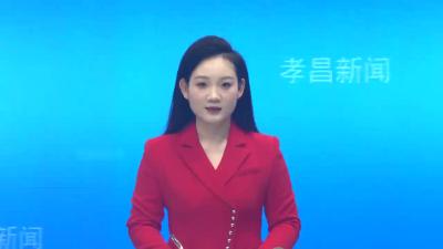县政协开展“关于做好新形势下招商引资工作的建议”重点提案办理协商活动