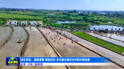 孝昌：插秧竞赛 摸鱼狂欢 让你找回消失的童年