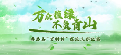 万众植绿 不负青山