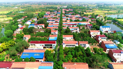 强素质·敢快干丨孝昌王店：石痕红印绣乡景 十分一诺暖民心
