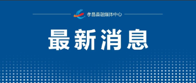 孝感31项措施提振消费！涵盖购车补贴、消费券、地摊经济……