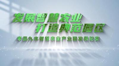 九丰智慧农业：发展智慧农业  打造典范园区