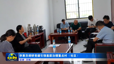 李惠芬调研党建引领基层治理重点村（社区）