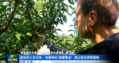 退伍军人田卫华：归巢种出“甜蜜事业” 荒山变乡亲致富园