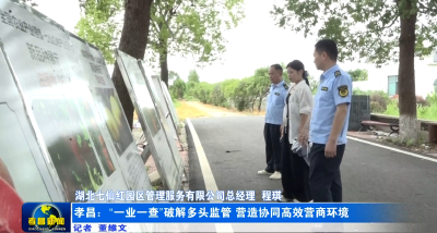 孝昌：“一业一查”破解多头监管 营造协同高效营商环境