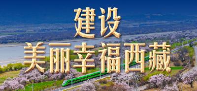 习言道 | 这个“桃花源”，习近平牵挂在心