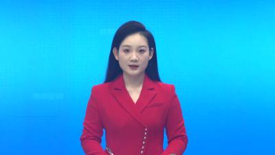 全县招商引资工作推进会召开