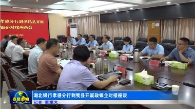 湖北银行孝感分行到孝昌县开展政银企对接座谈