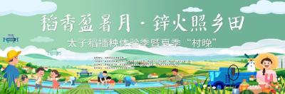 武汉周边遛娃新地标！7.5孝昌稻田插秧摸鱼全攻略，亲子组队赢大奖