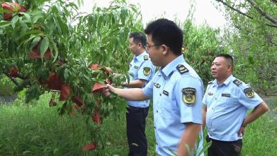“优”无止境 改革先行丨县市场监管局：“一业一查”破解多头监管 营造协同高效营商环境