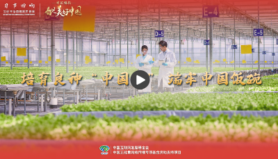 【牢记嘱托·看见美好中国】培育良种“中国芯” 端牢中国饭碗