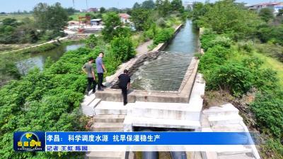 孝昌：科学调度水源 抗旱保灌稳生产