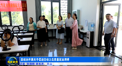 县政协开展关于促进劳动力高质量就业调研  