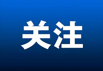 活力中国调研行｜东湖评论：物流活力涌动，湖北链通全球