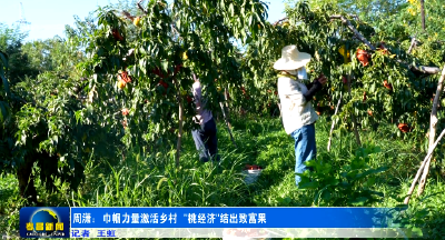 “桃西施”周潇带着农村姐妹开直播，让 “孝昌桃” 走出大山甜遍全国 