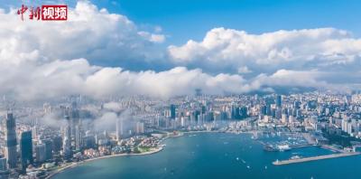 时政微视频丨习近平心中的“上合家园”