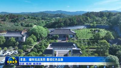 孝昌：缅怀抗战英烈 赓续红色血脉