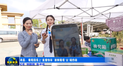 孝昌：葡萄园搭上“直播快车” 新鲜葡萄“云”端热销 