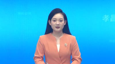 李惠芬调研乡村振兴示范片建设