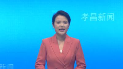湖北孝昌：44万亩水稻开镰  机械化助力秋收高效推进