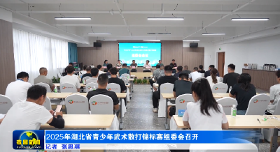 2025年湖北省青少年武术散打锦标赛组委会召开  