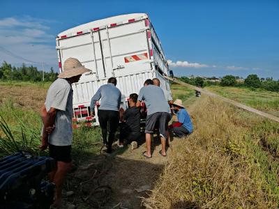 孝昌：民兵冲锋显担当  众人协作护秋粮