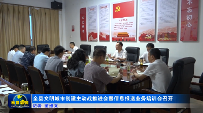 全县文明城市创建主动战推进会暨信息报送业务培训会召开