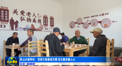 孝昌城南村：党建引领基层治理 民生服务暖人心 