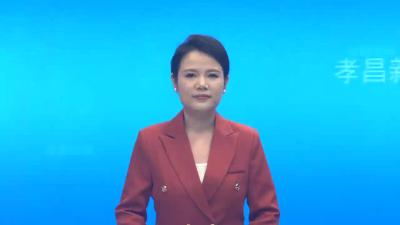 村（社区）规范化建设现场推进会议暨乡镇（区）重点工作调度会议召开