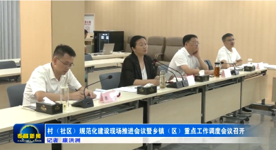 村（社区）规范化建设现场推进会暨乡镇（区）重点工作调度会召开