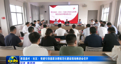 孝昌县村（社区）党建引领基层治理规范化建设现场推进会召开