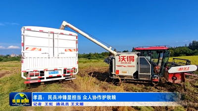孝昌：民兵冲锋显担当 众人协作护秋粮