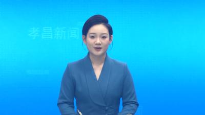 孝感市2025年度松材线虫病疫情防控推进会暨“护鸟清网”行动部署会在孝昌县召开