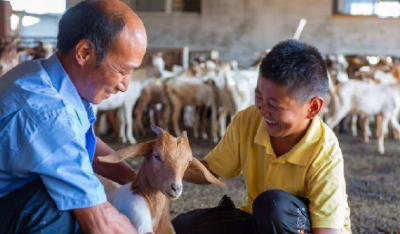 荆楚新农人唐根根：身残志坚的“领头羊”