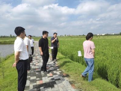 孝昌邹岗：年轻干部在太子米产业链上练兵提能