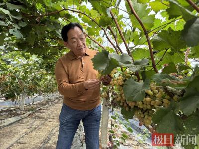支点建设担当者丨游子归来，种出一个故乡的春天