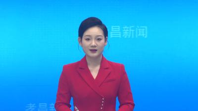 孝昌：葡萄“爆单”采摘忙  乡镇干部化身“采摘员”“打包员”