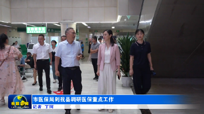市医保局到孝昌县调研医保重点工作
