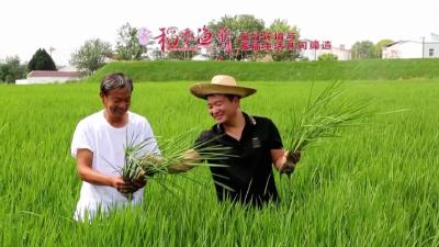 周浩：稻香渔歌新农人 