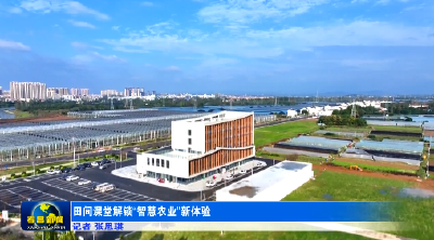 田间课堂解锁“智慧农业”新体验