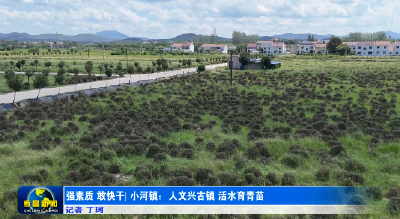 强素质·敢快干丨孝昌小河：人文兴古镇 活水育青苗 