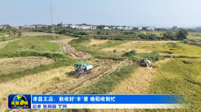 孝昌王店：秋收好“丰”景 晚稻收割忙