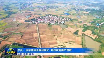 孝昌：油菜播种全程机械化 科技赋能稳产增收